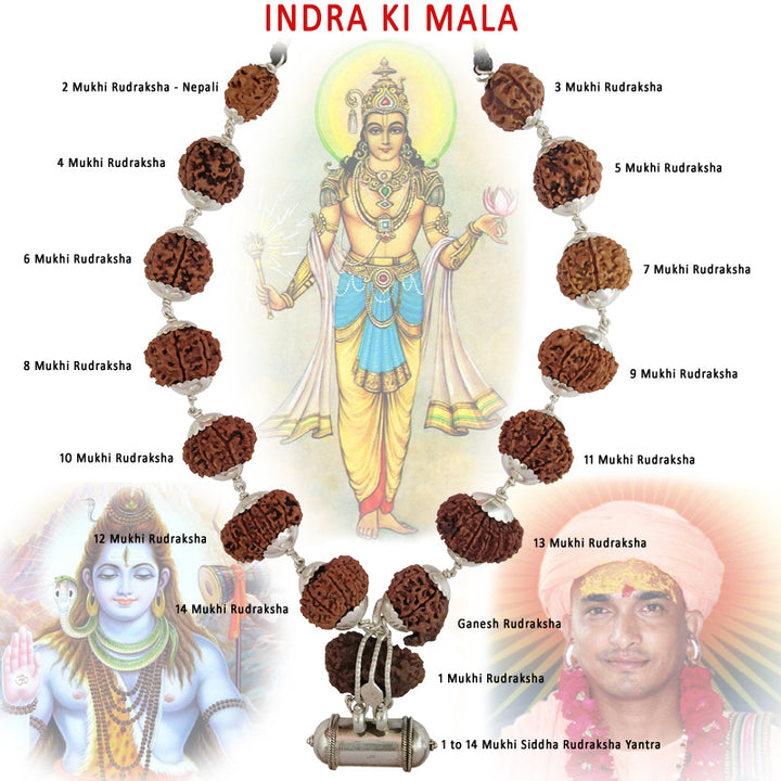 INDRA ki MALA Collector Rudraksha Beads | Collector Beads Indra Mala Kantha with Rudraksha Yantra Kavach | Specially Energised by Our GURU