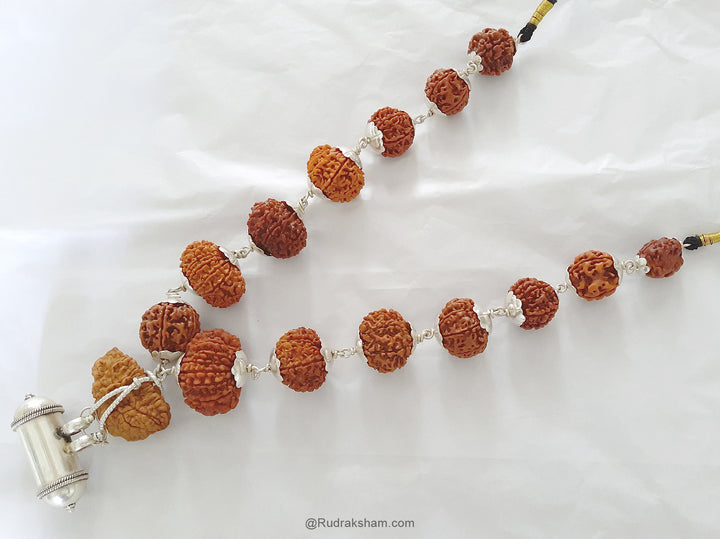 INDRA ki MALA Fine Rudraksha Beads | Buy Original Siddh Indra mala | 1 to 14 Mukhi Rudraksha Beads Mala with Ganesh
