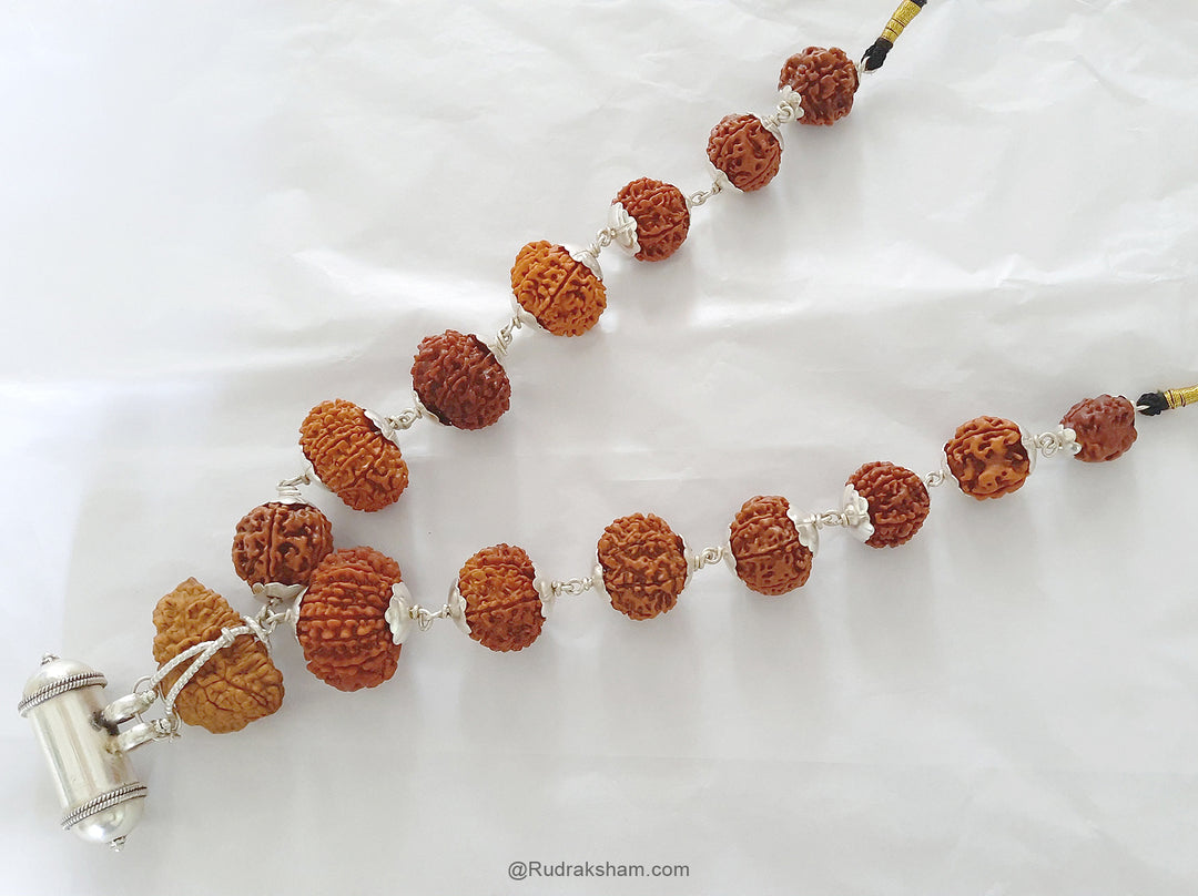 INDRA ki MALA Collector Rudraksha Beads | Collector Beads Indra Mala Kantha with Rudraksha Yantra Kavach | Specially Energised by Our GURU