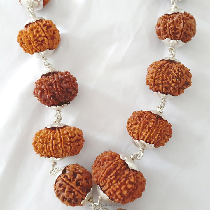 INDRA ki MALA Collector Rudraksha Beads | Collector Beads Indra Mala Kantha with Rudraksha Yantra Kavach | Specially Energised by Our GURU