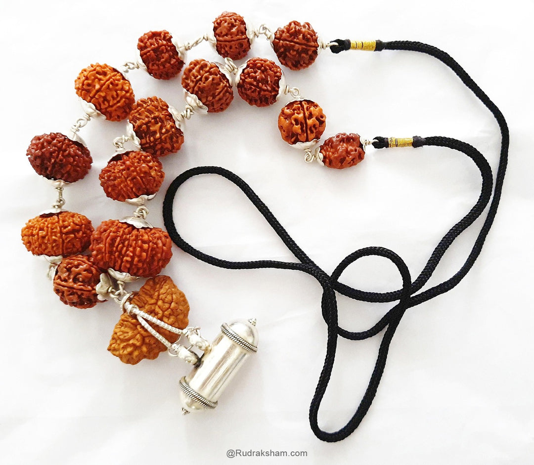 INDRA ki MALA Collector Rudraksha Beads | Collector Beads Indra Mala Kantha with Rudraksha Yantra Kavach | Specially Energised by Our GURU