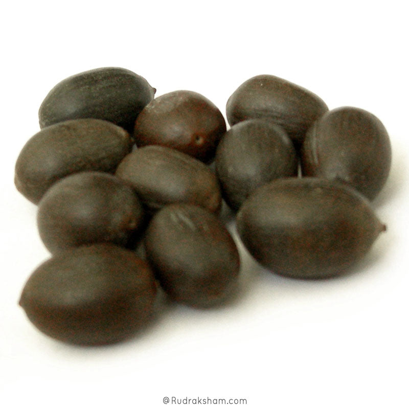  Black Lotus Beads for Maha Lakshmi Pooja