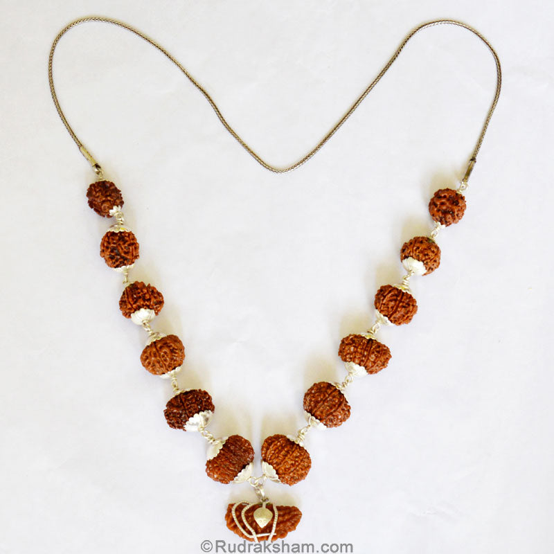 1-13 Mukhi Collector Rudraksha Beads Kantha Mala | Energised and Original Nepal Rudraksha Beads Configuration - 4