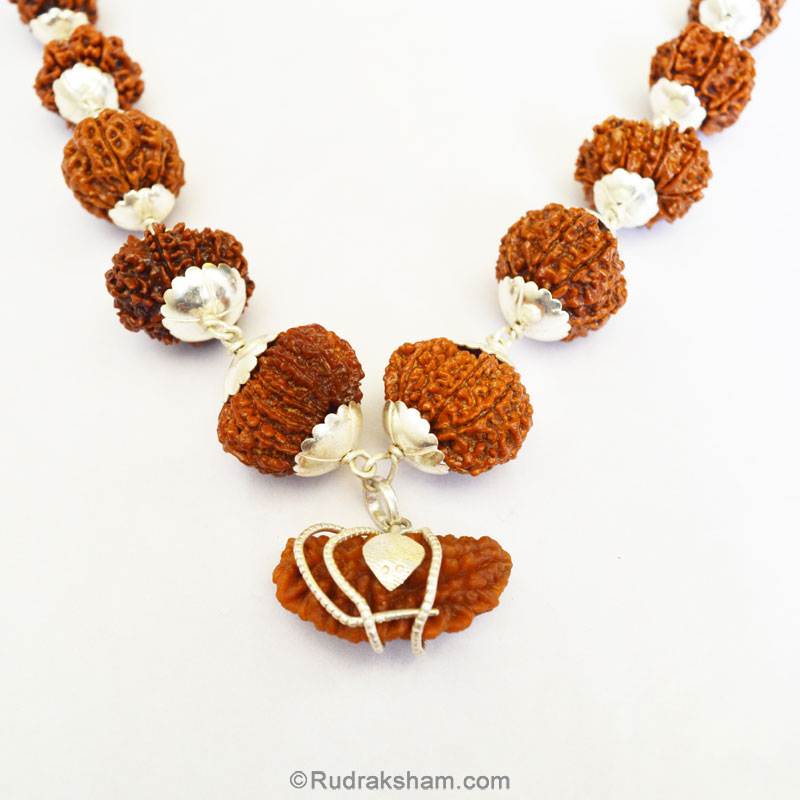 1-13 Mukhi Collector Rudraksha Beads Kantha Mala | Energised and Original Nepal Rudraksha Beads Configuration - 4