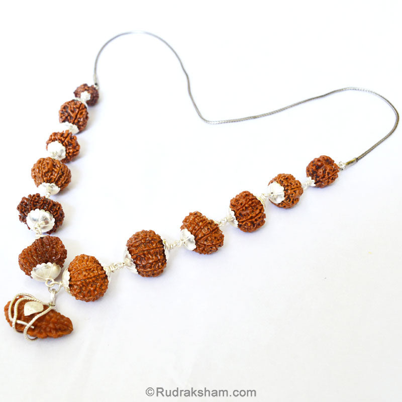 1-13 Mukhi Collector Rudraksha Beads Kantha Mala | Energised and Original Nepal Rudraksha Beads Configuration - 4
