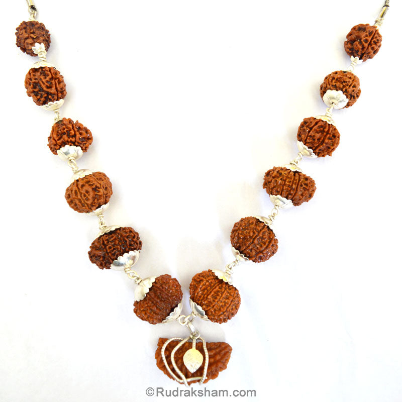 1-13 Mukhi Collector Rudraksha Beads Kantha Mala | Energised and Original Nepal Rudraksha Beads Configuration - 4