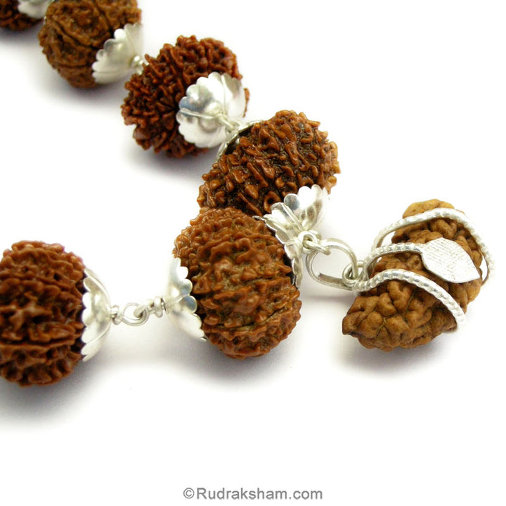 1-13 Mukhi Fine Rudraksha Beads Kantha Mala | Buy Online Energised and Original Siddh Rudraksha Beads Configuration - 4