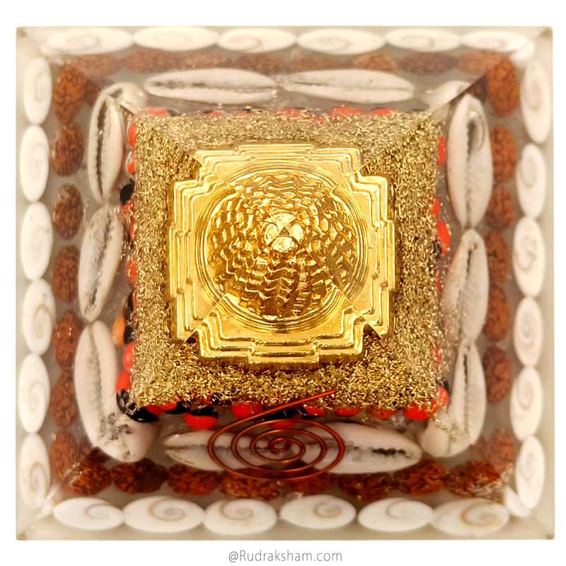  White Kauri & Red Chirmi Seeds For Vastu