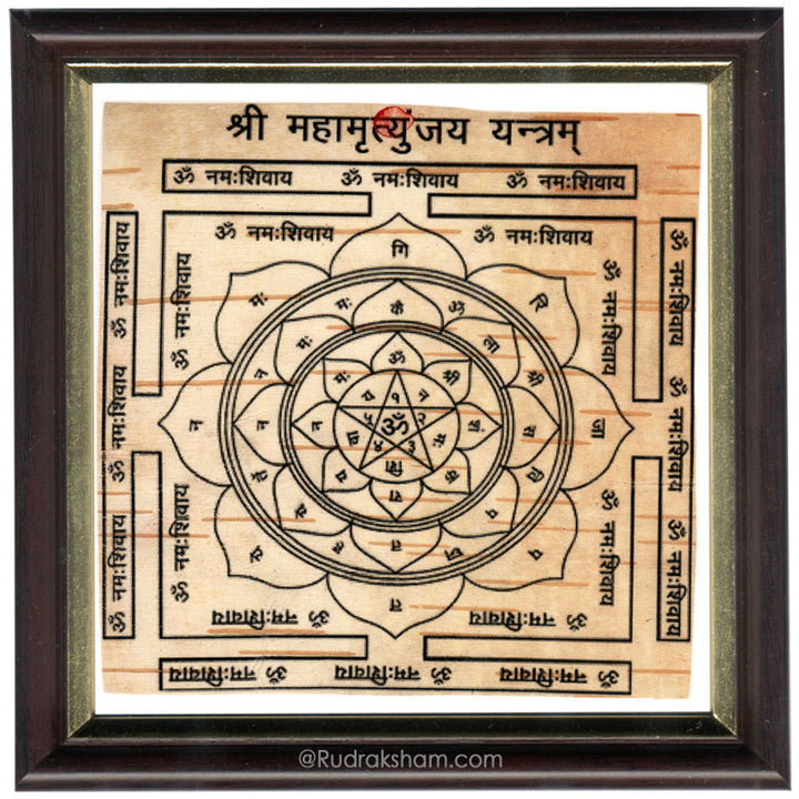 Mahamritunjaya Yantra - Framed