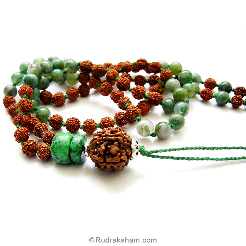 Rudraksha
