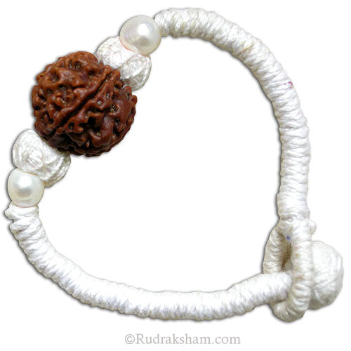  5 Mukhi Collector with Pearl Wrist Band