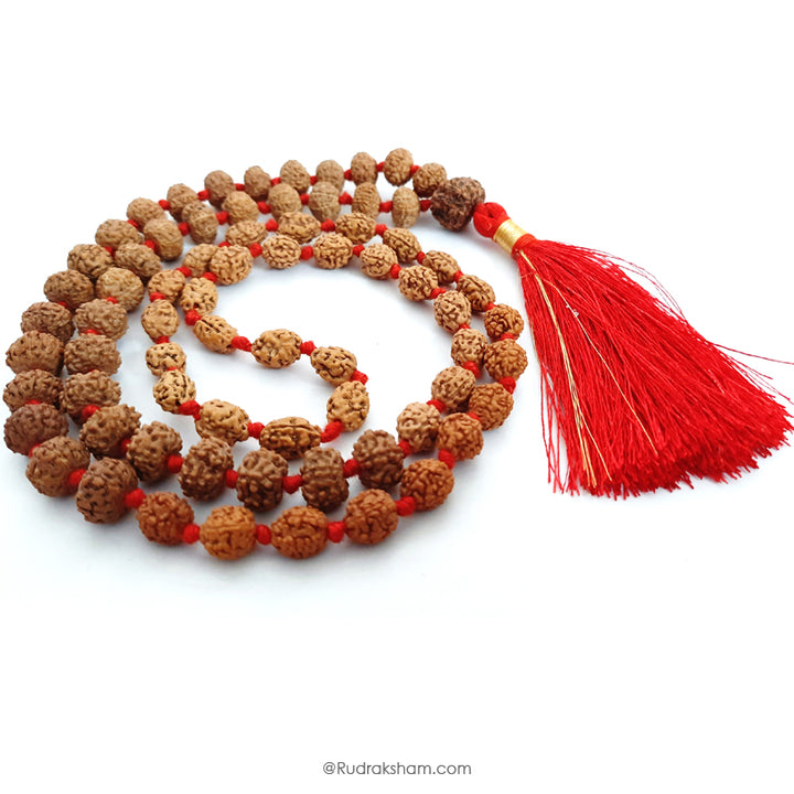  4 Mukhi