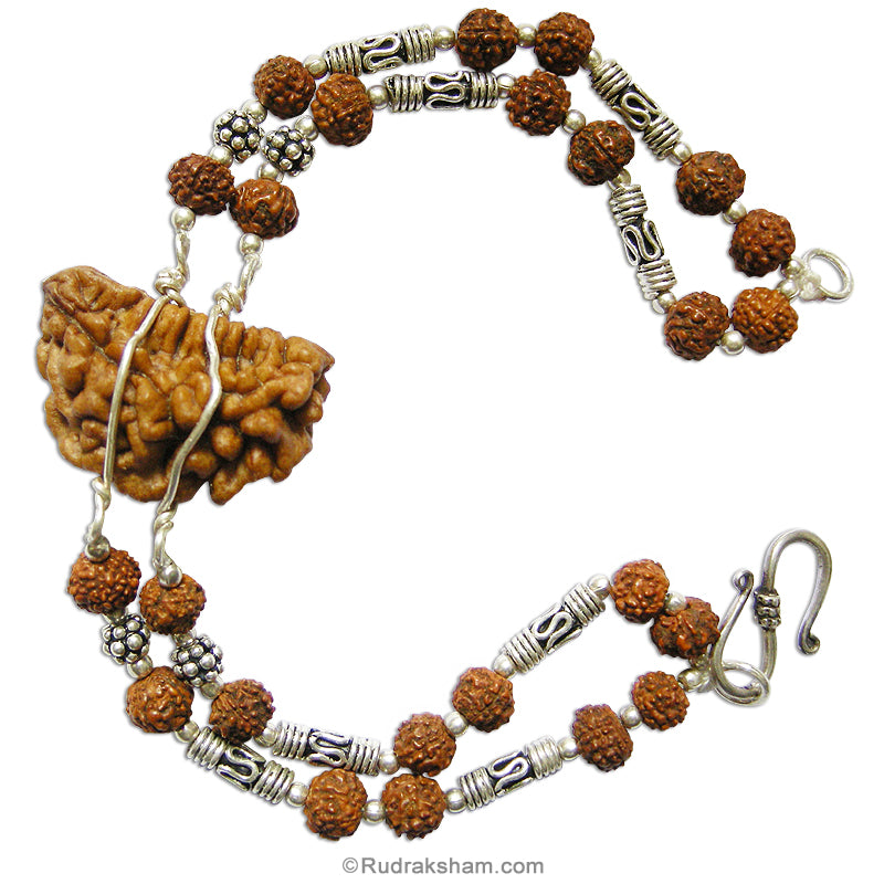 One Mukhi Rudraksha Double Bracelet in Silver