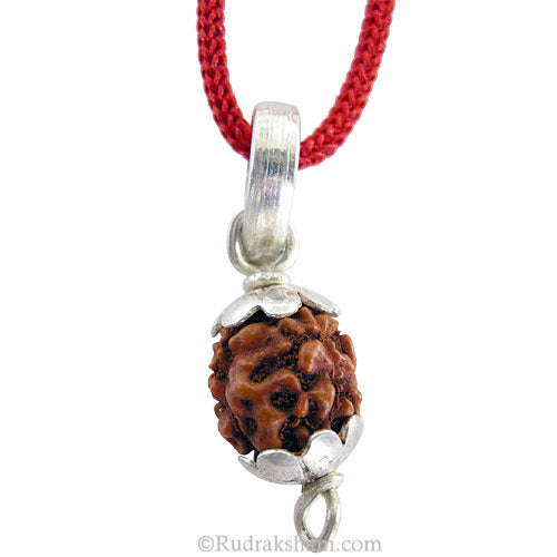 Pathri - Chikna Rudraksha 5 Mukhi Bead Pendant in Silver (10 mm )