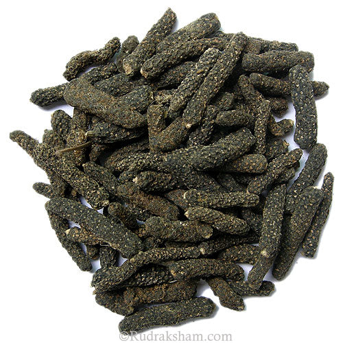  Pippali - Piper longum Herb