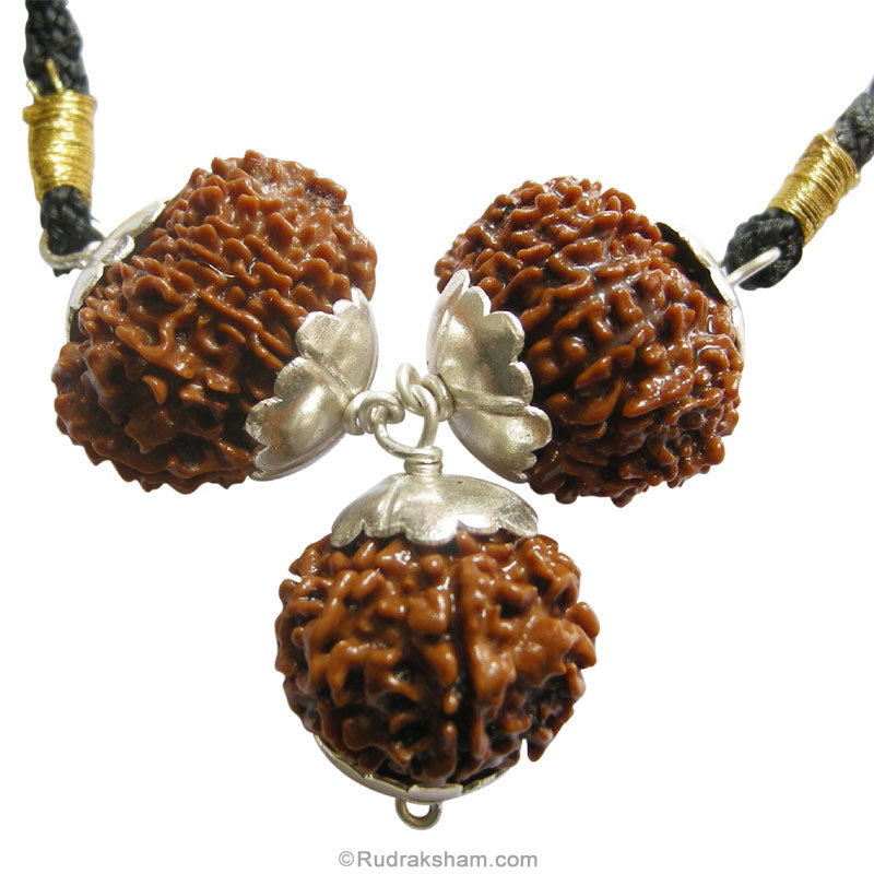  Politicians Power Pendant | 8 Mukhi Rudraksha, 12 Mukhi Rudraksha And 16 Mukhi Rudraksha Combination Pendant In Silver | For Success in Politics