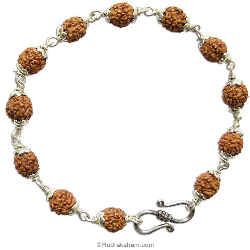 Rare Power Bracelet | 4 Mukhi Bracelet | Four / Char Mukhi Rudraksha Bracelet with Silver Caps and Links | 6mm Beads of 4 Mukhi Rudraksha for blessings of Goddess Saraswati