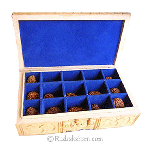 Ek Mukhi to 14 Mukhi Rudraksha Beads Set Wooden Box with Gauri Shankar Bead |Top Quality High Grade Beads Collectors Item Free Box