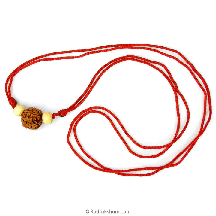  Six Faced Energised Rudraksha Necklace in Thread