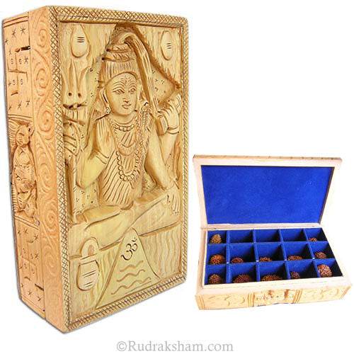 Ek Mukhi to 14 Mukhi Rudraksha Beads Set Wooden Box with Gauri Shankar Bead |Top Quality High Grade Beads Collectors Item Free Box