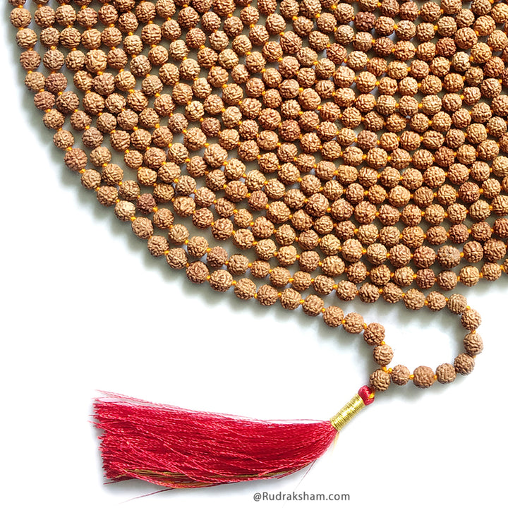  Original and Energised Rudraksha mala 1008 beads necklace