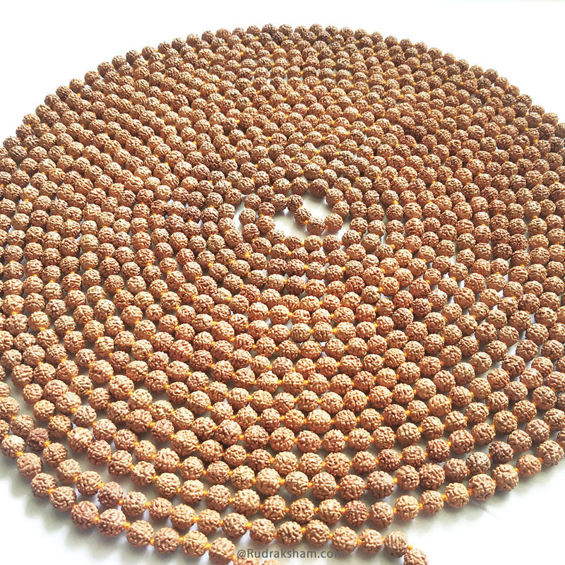 1008 Beads 5 Mukhi Rudraksha Mala with Tassel | Spiritual & Meditation Rosary