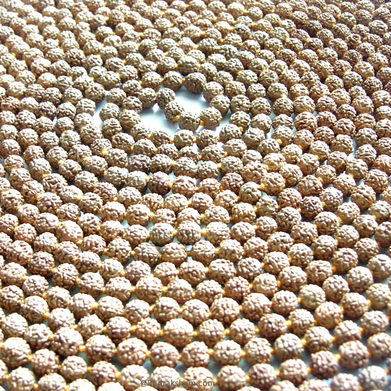  Original and Energised Rudraksha mala 1008 beads necklace