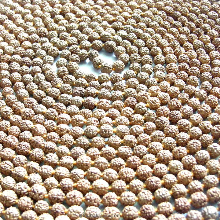  Original and Energised Rudraksha mala 1008 beads necklace