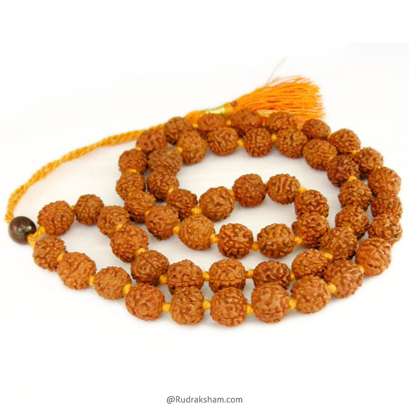  Paanch Mukhi Mala with Adjustable Thread
