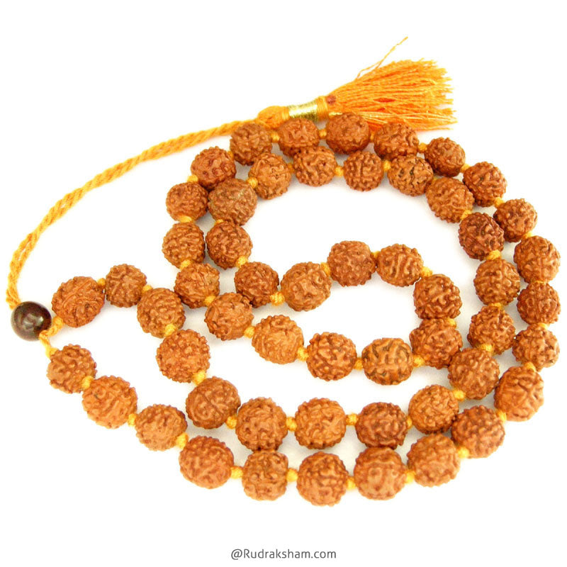 Wholesale Pack of 5 Mukhi Rudraksha Mala 10 mm