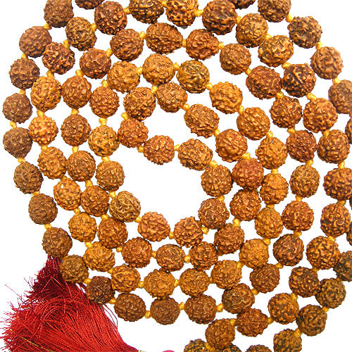  10mm Rudraksha Japa Mala Rosary | 108 Beads Rudraksha Mala Benefits