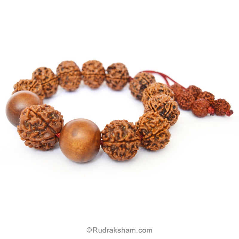 Rudraksha and White Sandalwood Beads Mala Bracelet | Adjustable Rudraksha Chandan Thread Bracelet