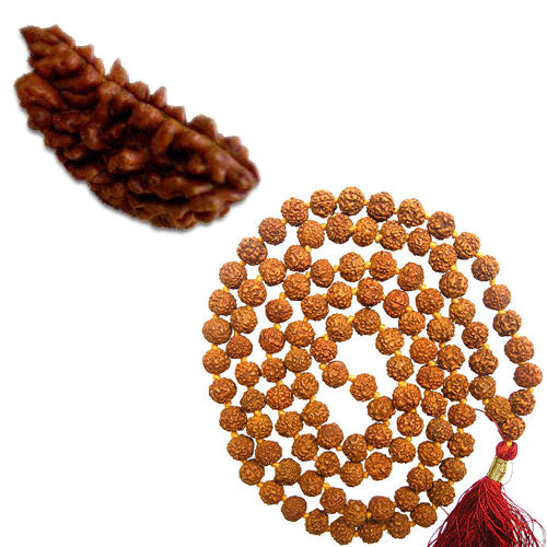 One Mukhi Rudraksha with Free Rudraksha Mala – Rudraksham