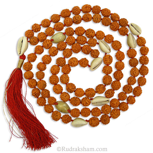  Rudraksha - Kauri Mala 9 mm | Cowry Necklace | Cowrie Shell Beads Rudraksha Rosary | Rudraksha Kaudi Mala