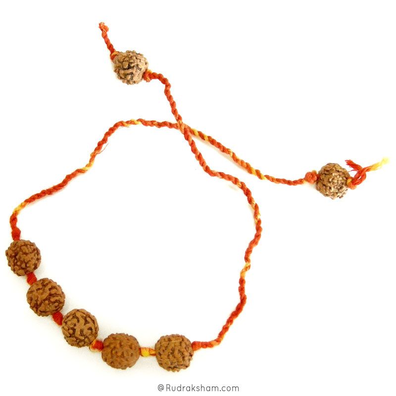 Rudraksha Moli Band - Rudraksha Beads with Mauli Thread ( Kalawa ) | Sacred Hindu Pooja Thread with Rudraksha Beads to make a Wrist Bracelet