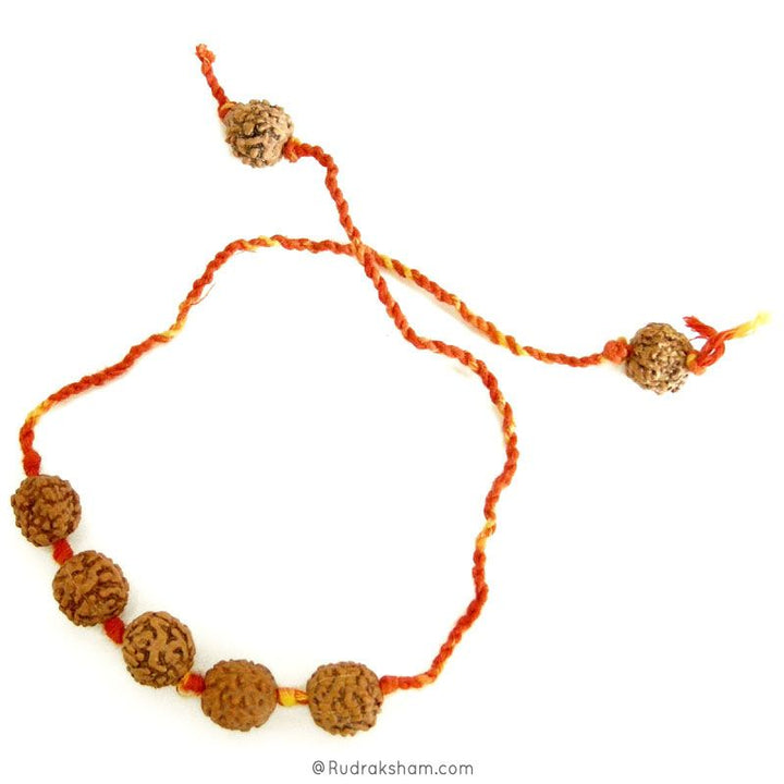 Rudraksha Moli Band - Rudraksha Beads with Mauli Thread ( Kalawa ) | Sacred Hindu Pooja Thread with Rudraksha Beads to make a Wrist Bracelet