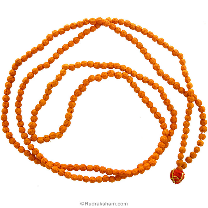 Rudrani Beads Mala Necklace for wearing | Rudrani Rosary, Female Part of Rudraksha Beads | Rudrani Mala Rosary