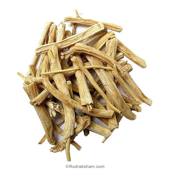 Shatavari - Asparagus Herb