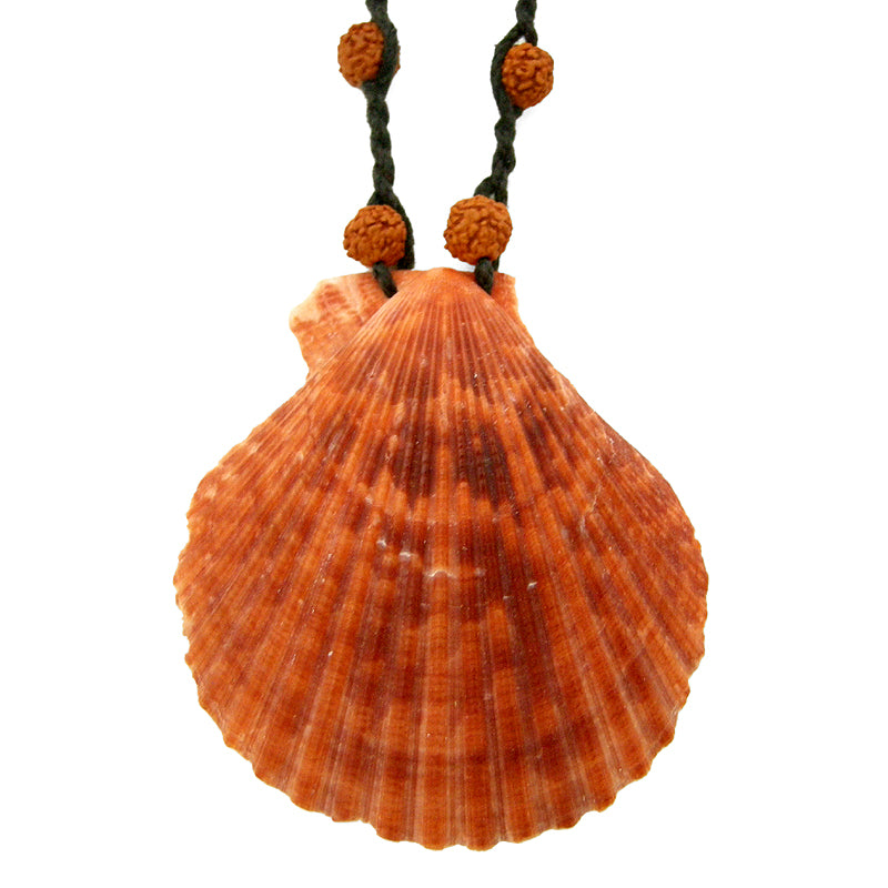  Real Natural Sea Shell Necklace