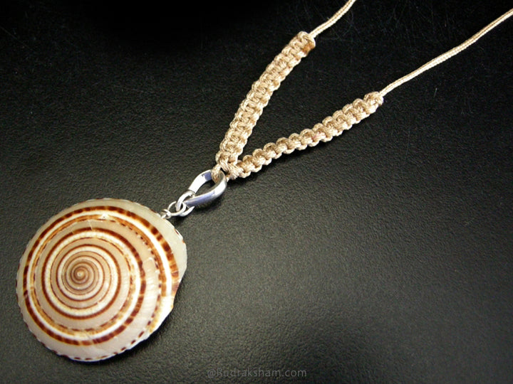  Seashell Jewelry