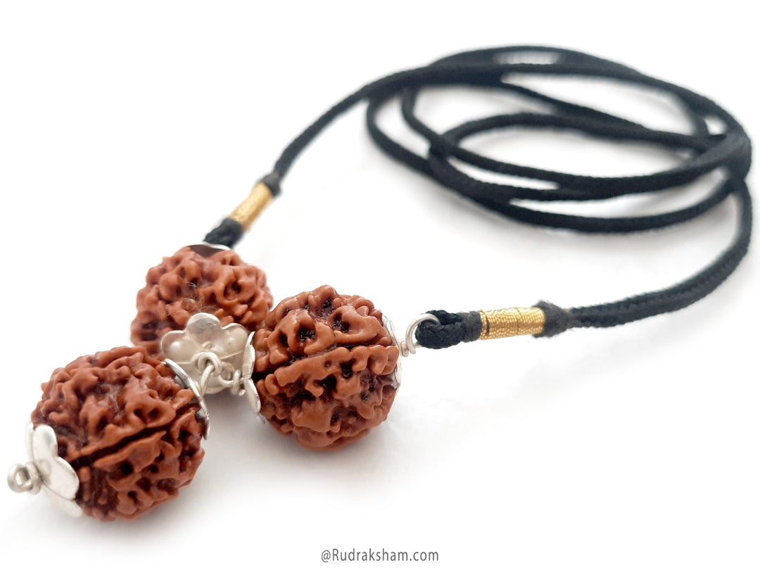 Rudraksha Education Necklace | 4 Mukhi Rudraksha | 6 Mukhi Rudraksha | Saraswati Power Pendant | Authentic Energised Rudraksha for Artists