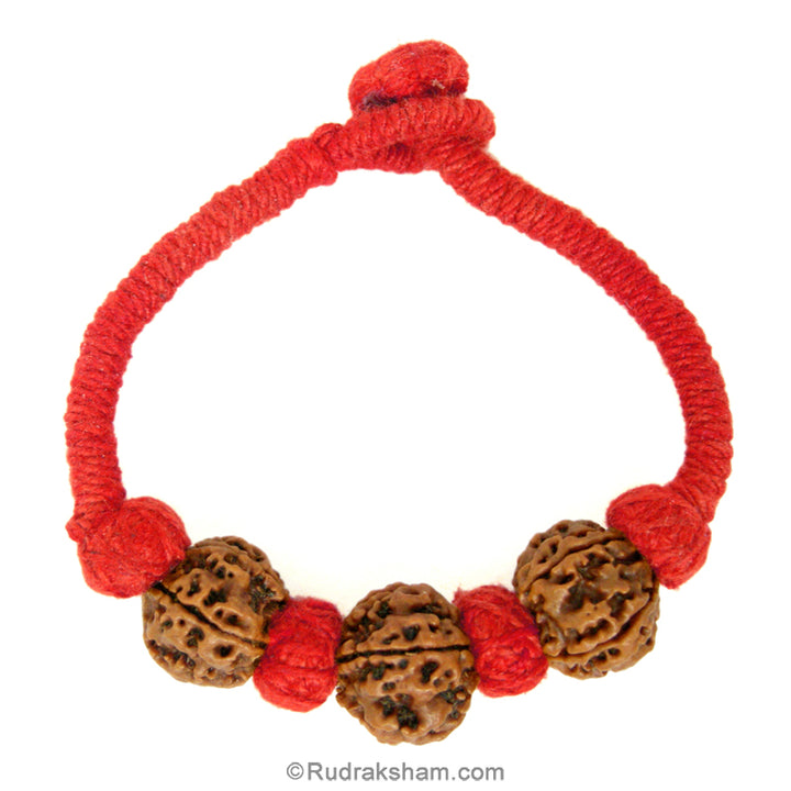  Triple 5 Mukhi Wrist Band