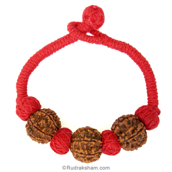 Triple 7 Mukhi Wrist Band