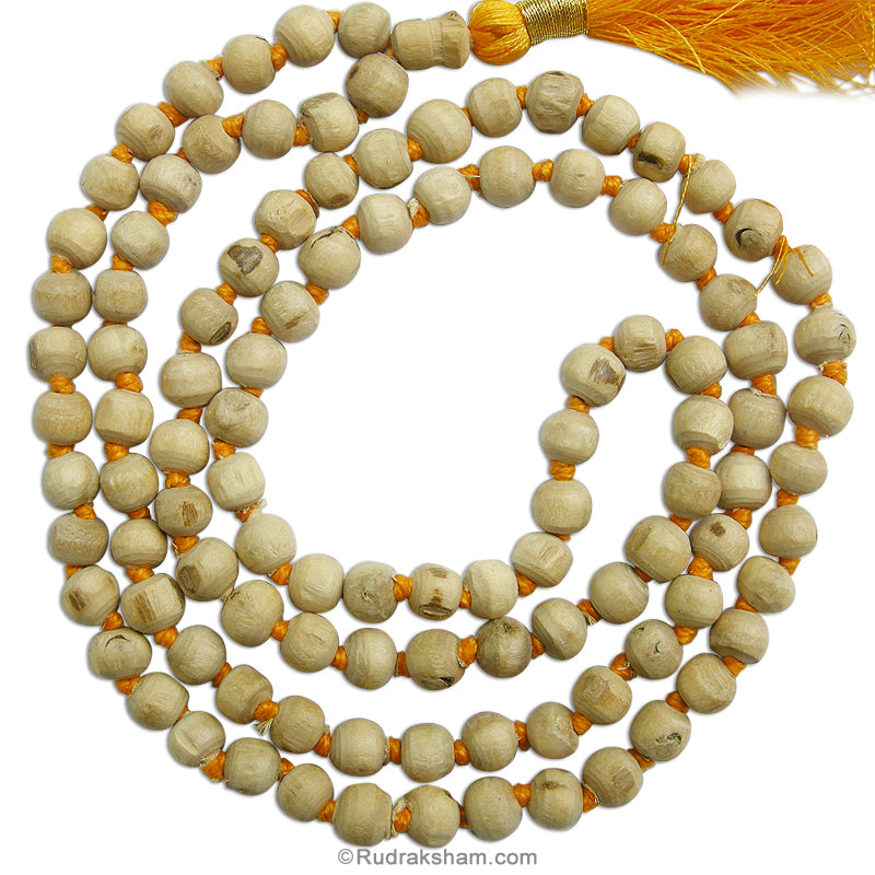  Tulsi Mala 6.00 mm