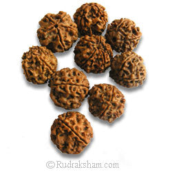 Rudraksha Water Beads | Water Therapy with Five Mukhi Rudraksha | 5 Mukhi Helps to control Blood Pressure and Cholesterol