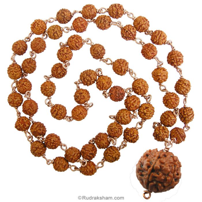 rudraksha in copper chain